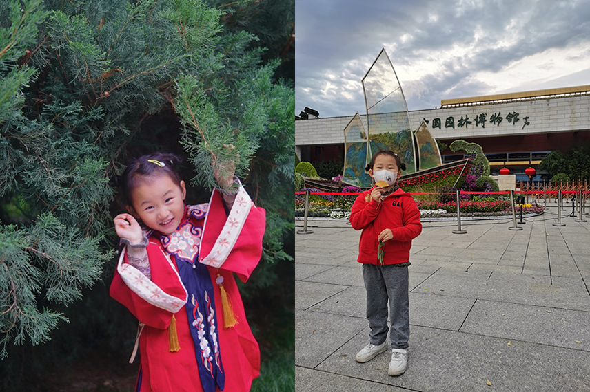 花与树.jpg